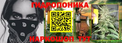 твердый Будённовск