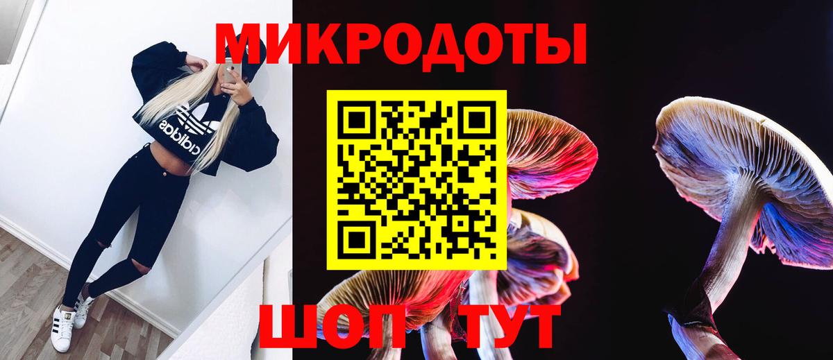 Галлюциногенные грибы Magic Shrooms  Вход с VPN  Сызрань  Галлюциногенные грибы Cubensis 