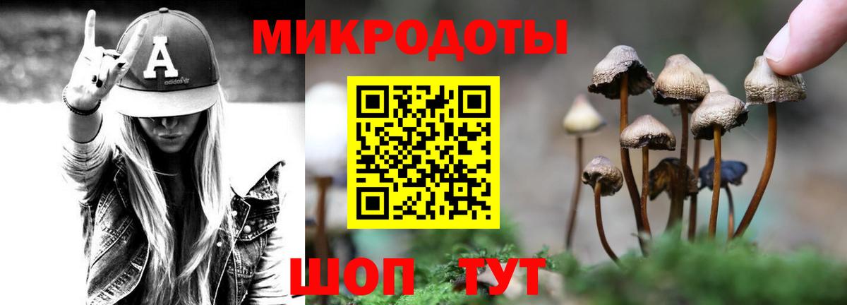 Галлюциногенные грибы Psilocybine cubensis Сызрань